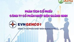 PHÂN TÍCH CỔ PHIẾU CÔNG TY CỔ PHẦN NHIỆT ĐIỆN QUẢNG NINH