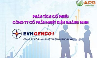 PHÂN TÍCH CỔ PHIẾU CÔNG TY CỔ PHẦN NHIỆT ĐIỆN QUẢNG NINH