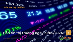Bản tin thị trường ngày 31/05/2024